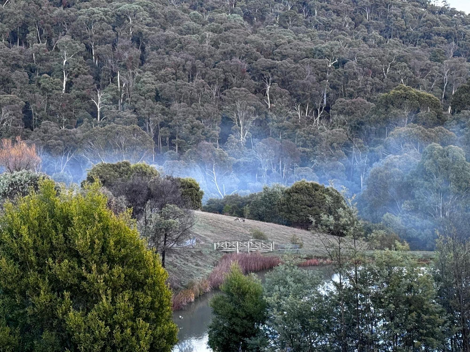 Mt Buller Stayz Merrijig Extérieur photo